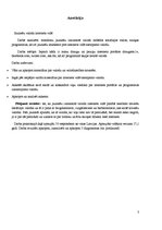 Referāts 'Jauniešu valoda interneta vidē', 3.