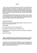 Referāts 'Jauniešu valoda interneta vidē', 4.