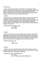 Referāts 'Jauniešu valoda interneta vidē', 5.