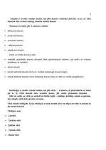 Referāts 'Jauniešu valoda interneta vidē', 6.