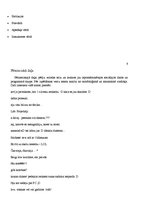 Referāts 'Jauniešu valoda interneta vidē', 7.