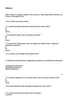 Referāts 'Jauniešu valoda interneta vidē', 13.