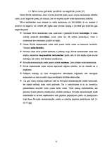 Referāts 'Brīvās ekonomiskās zonās Latvijā', 6.