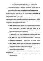 Referāts 'Brīvās ekonomiskās zonās Latvijā', 7.