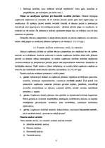 Referāts 'Brīvās ekonomiskās zonās Latvijā', 8.