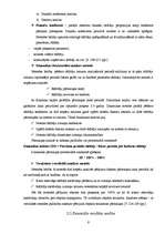 Referāts 'Brīvās ekonomiskās zonās Latvijā', 9.