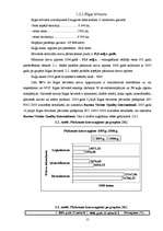 Referāts 'Brīvās ekonomiskās zonās Latvijā', 15.