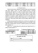 Referāts 'Brīvās ekonomiskās zonās Latvijā', 16.