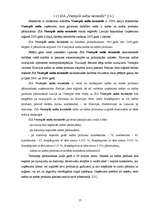 Referāts 'Brīvās ekonomiskās zonās Latvijā', 17.