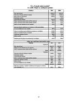 Referāts 'Brīvās ekonomiskās zonās Latvijā', 19.