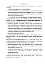 Referāts 'Brīvās ekonomiskās zonās Latvijā', 25.