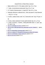 Referāts 'Brīvās ekonomiskās zonās Latvijā', 26.