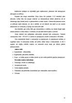 Prakses atskaite 'Vadības prakse uzņēmumā "Hotel Rīga"', 22.