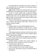 Referāts 'Organizācijas misija un mērķi', 2.