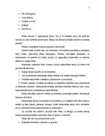 Referāts 'Organizācijas misija un mērķi', 5.