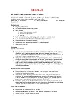 Konspekts 'Sarkans', 1.