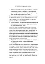 Referāts 'Par Frīdrihu Nīči un viņa darbu "Ecce Homo"', 3.