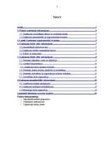 Prakses atskaite 'SIA "Modes aksesuāri"', 2.