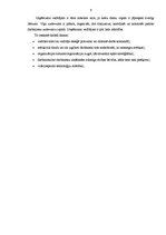 Prakses atskaite 'SIA "Modes aksesuāri"', 6.