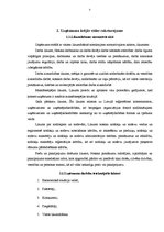 Prakses atskaite 'SIA "Modes aksesuāri"', 7.