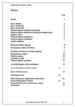 Referāts 'Pirkuma līgums kā viens no komercdarījumu veidiem', 2.