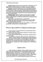 Referāts 'Pirkuma līgums kā viens no komercdarījumu veidiem', 5.