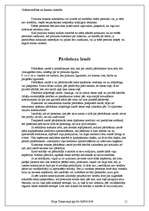 Referāts 'Pirkuma līgums kā viens no komercdarījumu veidiem', 11.