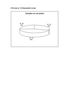 Referāts 'Piemājas saimniecība "Dzilnas"', 43.