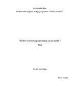 Eseja 'Efektīva lēmuma pieņemšana jurista darbā', 1.