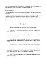 Konspekts 'Ežēna Delakruā  darbu salīdzināšana ar citu mākslinieku darbiem', 8.