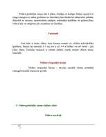 Referāts 'Abdominoplastika - vēdera priekšējās sieniņas plastika', 8.