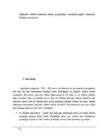 Referāts 'Abdominoplastika - vēdera priekšējās sieniņas plastika', 17.