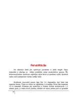 Referāts 'Abdominoplastika - vēdera priekšējās sieniņas plastika', 28.