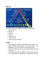 Referāts 'Biznesa kultūra Itālijā', 8.
