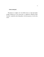 Referāts 'Latvijas ieguvumi un zaudējumi Eiropas Savienībā', 4.