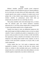 Referāts 'Policijas darbinieka ārējā izskata nozīme mijiedarbībā ar sabiedrību', 3.