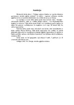 Referāts 'Dabīgas auduma šķiedras un tautisko elementu apvienojums sieviešu aģērba ražošan', 3.