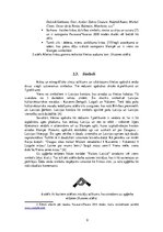 Referāts 'Dabīgas auduma šķiedras un tautisko elementu apvienojums sieviešu aģērba ražošan', 9.