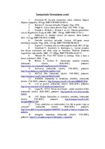 Referāts 'Dabīgas auduma šķiedras un tautisko elementu apvienojums sieviešu aģērba ražošan', 19.