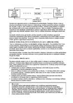 Konspekts 'Uzņēmējdarbības vadīšana, 2.daļa - menedžmenta modeļi', 14.