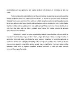 Eseja 'Komercdarbības attīstība Lavijā, tās plusi un mīnusi', 2.