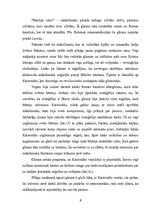 Referāts 'XVII gadsimta mākslinieks Karavadžo', 8.