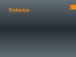 Prezentācija 'Troksnis', 1.