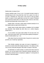 Referāts 'Vitrāžu māksla viduslaikos', 7.