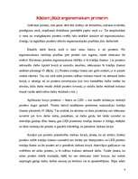 Referāts 'Ergonomika', 6.