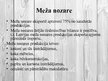 Prezentācija 'Kokmateriālu eksports', 3.