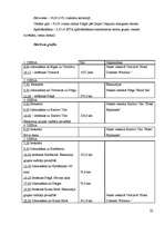 Referāts 'Tūrisma ceļojuma sagatavošana uz Čehiju', 22.