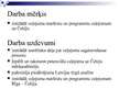 Referāts 'Tūrisma ceļojuma sagatavošana uz Čehiju', 32.