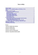 Referāts 'Līzinga loma uzņēmējdarbības attīstībā Latvijā', 2.