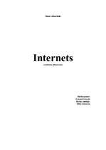 Referāts 'Internets', 1.
